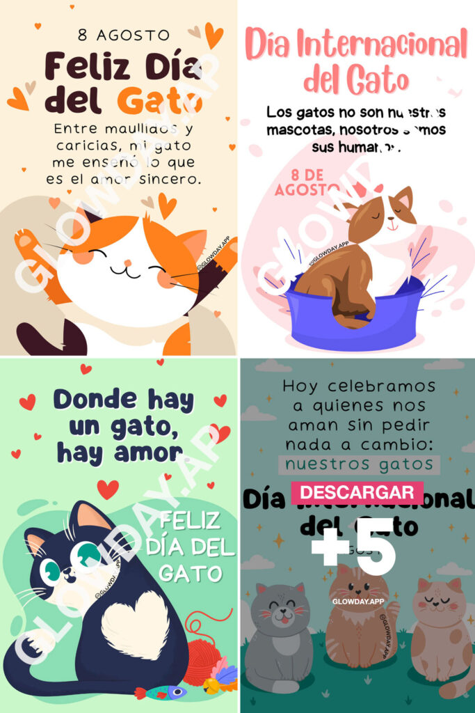 feliz dia internacional del gato 8 de agosto